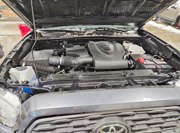 3TMCZ5AN8MM434633 2021 TOYOTA TACOMA Gray Вид задньої частини салону