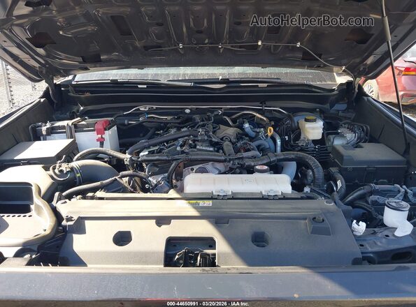 3TMKB5FN0RM014641 2024 TOYOTA TACOMA Gray Հետևի տեսք