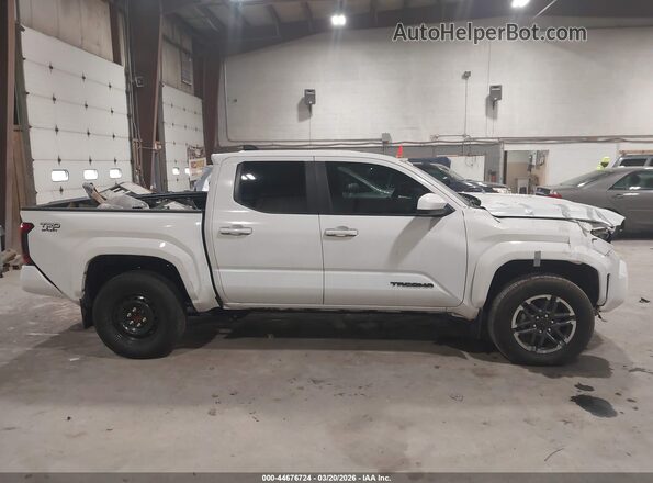 3TMKB5FN0RM016843 2024 TOYOTA TACOMA White Widok wnętrza z tyłu