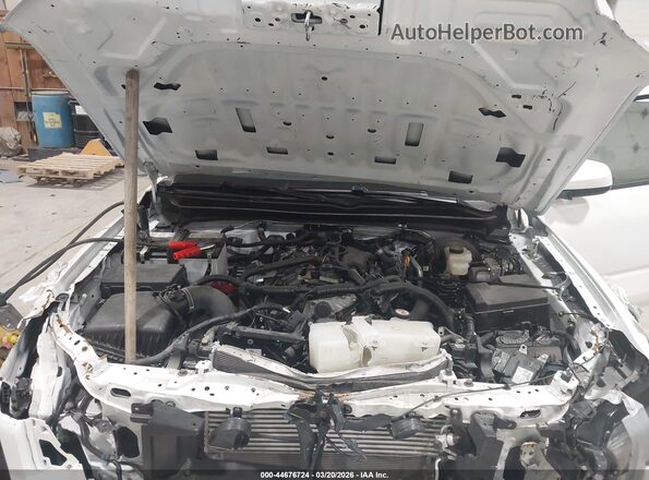 3TMKB5FN0RM016843 2024 TOYOTA TACOMA White Widok z tyłu