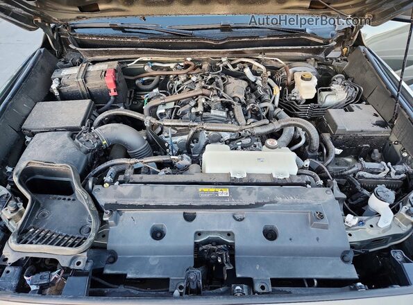 3TMLB5JN2RM012370 2024 TOYOTA TACOMA Green Rear interior view