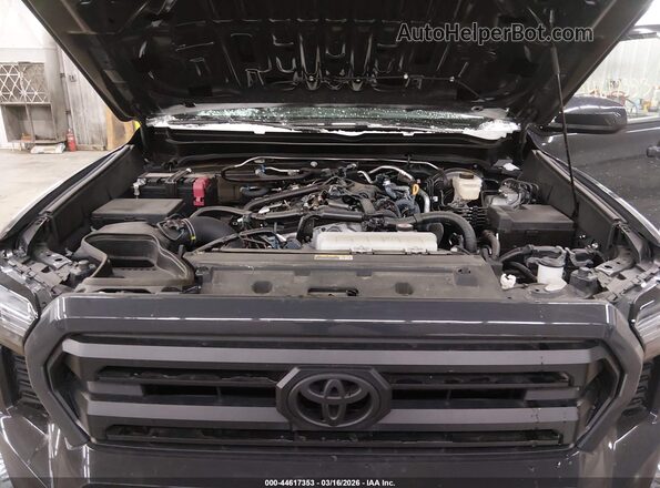 3TMLB5JN7RM038057 2024 TOYOTA TACOMA Серый Вид сзади