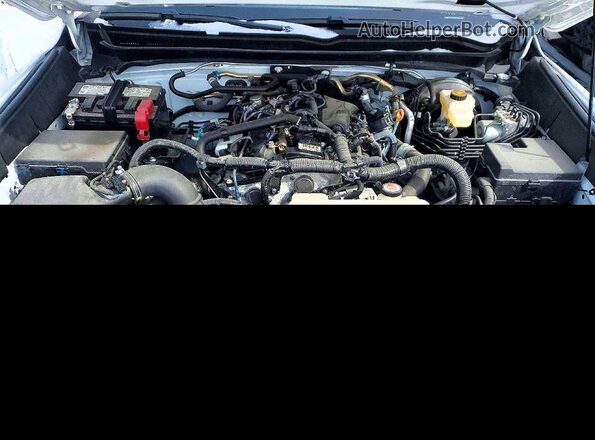 3TMLB5JN7RM059524 2024 TOYOTA TACOMA White უკანა სალონის ხედი