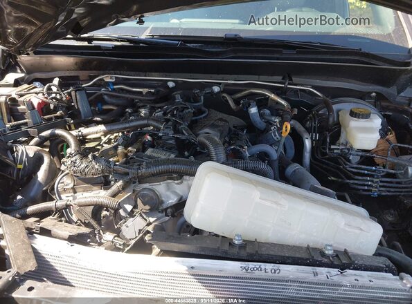 3TMLB5JN7SM168734 2025 TOYOTA TACOMA Gray Rear view