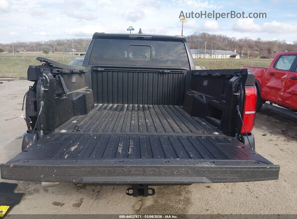 3TMLB5JN8RM044143 2024 TOYOTA TACOMA Gray 