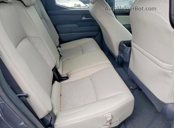 3TMLB5JN9RM074638 2024 TOYOTA LIMITED Gray Widok tylnych siedzeń