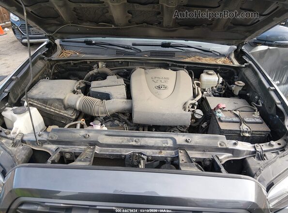 3TYCZ5AN9MT045066 2021 TOYOTA TACOMA Серый Вид сзади