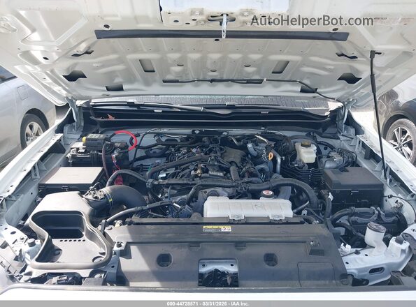 3TYJDAHN1RT013059 2024 TOYOTA TACOMA White Widok z tyłu