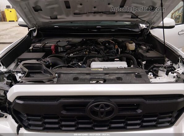 3TYLB5JN8RT047452 2024 TOYOTA TACOMA White Rear view