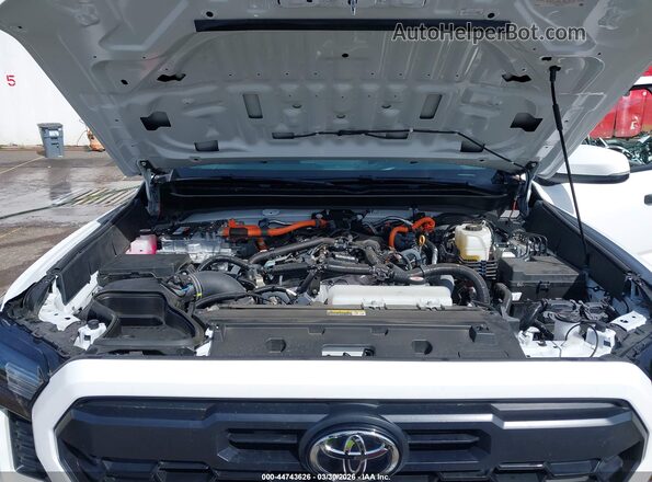 3TYLC5LN0RT013967 2024 TOYOTA TACOMA HYBRID Белый Вид сзади