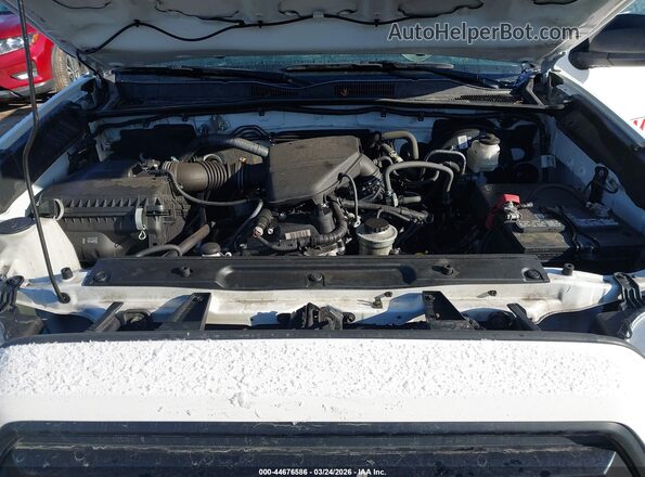 3TYRX5GN5PT079176 2023 TOYOTA TACOMA Белый Вид сзади