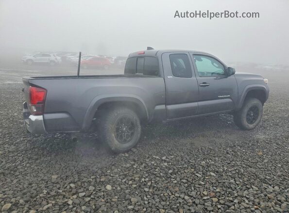 3TYSZ5AN1MT040116 2021 TOYOTA TACOMA Gray უკანა მარჯვენა