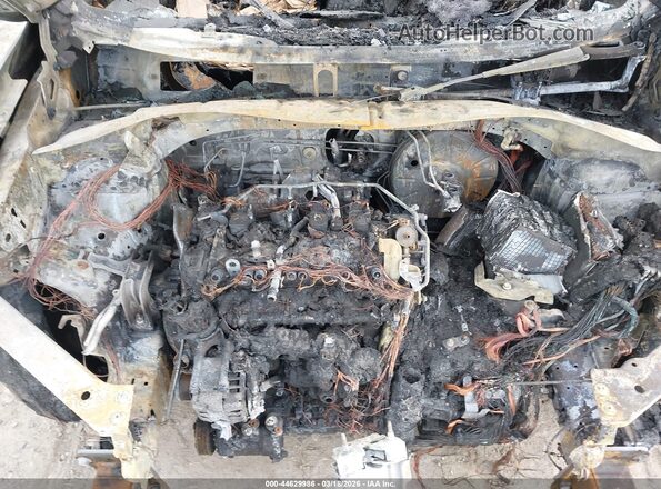 3VV0B7AX2MM151540 2021 VOLKSWAGEN TIGUAN Gray Widok z tyłu
