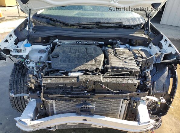 3VVER7RM6TM036207 2026 VOLKSWAGEN TIGUAN Белый 