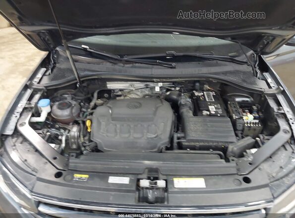 3VVFB7AX6PM085167 2023 VOLKSWAGEN TIGUAN Gray Rear view