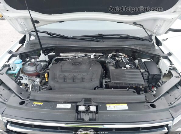 3VVMB7AX2PM068258 2023 VOLKSWAGEN TIGUAN White Вид ззаду
