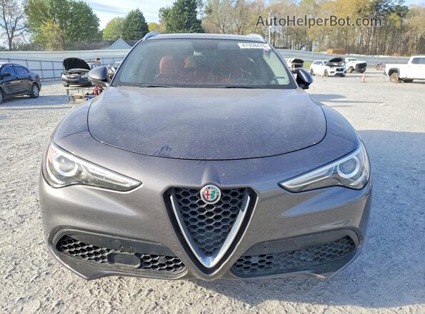 ZASPAKBN5K7C31140 2019 ALFA ROMEO STELVIO Gray Widok z tyłu