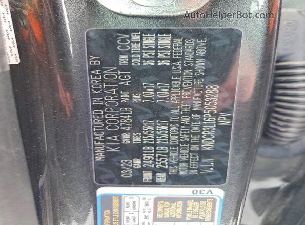 KNDCR3L16P5053288 2023 KIA NIRO EV Black Панорамний вид салону 360°