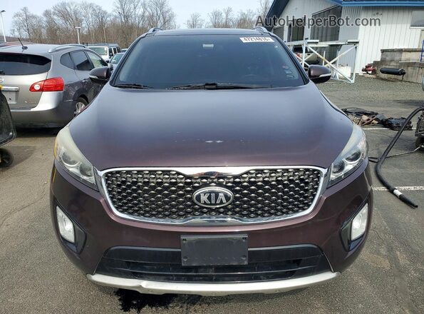 5XYPKDA54GG017303 2016 KIA SORENTO Purple 
