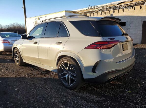 4JGFB6BB8RB000184 2024 MERCEDES-BENZ GLE Серый 