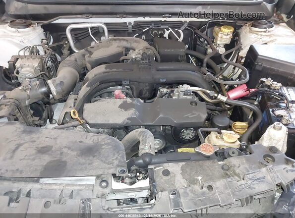 4S4BSAHC4K3212565 2019 SUBARU OUTBACK Белый Вид сзади