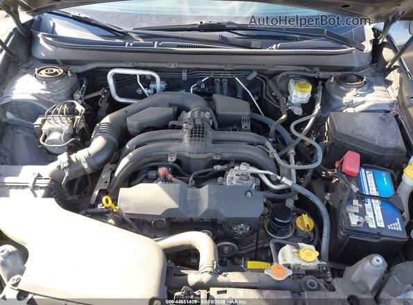 4S4BSANC2K3293571 2019 SUBARU OUTBACK Gray უკანა ხედი