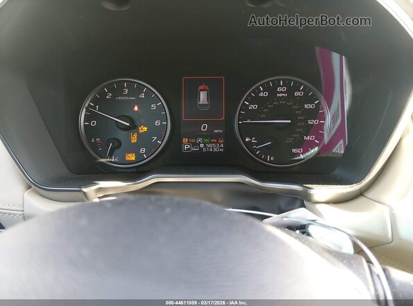 4S4BTANC6M3154012 2021 SUBARU OUTBACK Gray Вид задніх сидінь