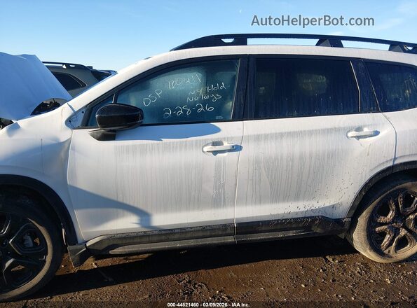 4S4WMAFD8S3411609 2025 SUBARU ASCENT White უკანა სალონის ხედი