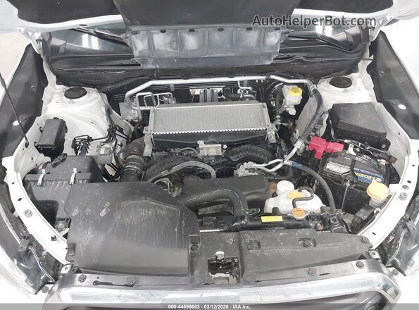 4S4WMALD0L3410475 2020 SUBARU ASCENT White Rear view