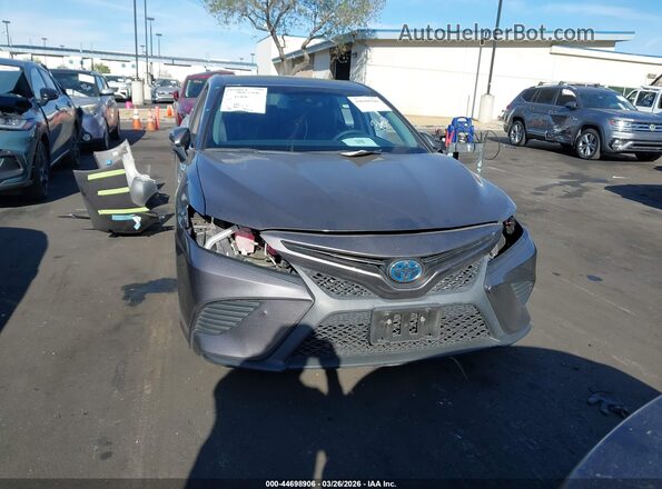 4T1B21HK5KU014482 2019 TOYOTA CAMRY HYBRID Gray Սալոնի հետևի տեսք
