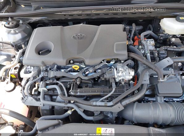 4T1DAACK3SU626585 2025 TOYOTA CAMRY Gray Հետևի տեսք