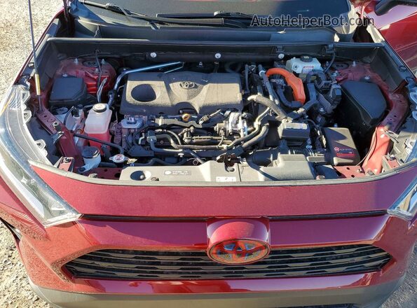 4T3D6RFV5MU055665 2021 TOYOTA LIMITED Red Սալոնի հետևի տեսք
