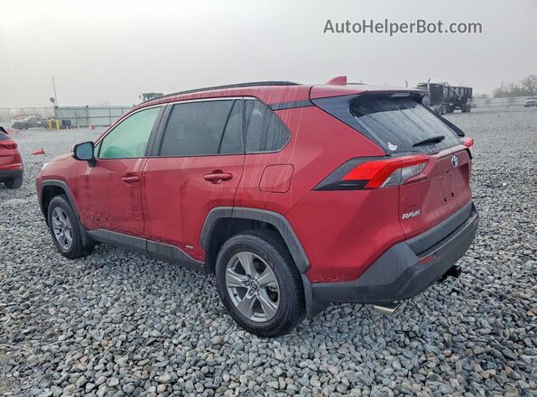 4T3RWRFV4RU156919 2024 TOYOTA RAV4 Red უკანა მარცხენა