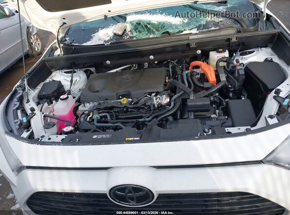 4T3RWRFV7SU202054 2025 TOYOTA LE White Widok z tyłu