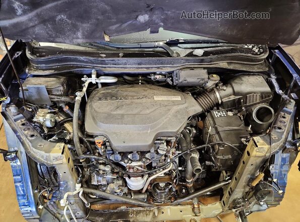 5FNYF8H95KB001295 2019 HONDA PASSPORT Blue Widok naklejki z numerem VIN