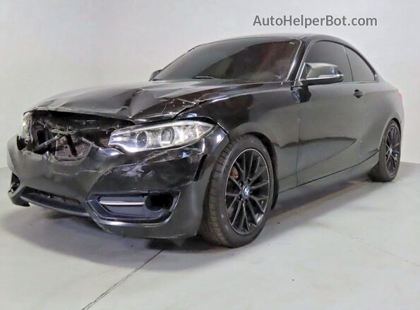 WBA1F9C54GV544669 2016 BMW 2 SERIES Black Tył prawy