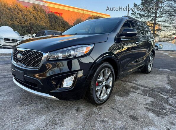 5XYPKDA56GG030215 2016 KIA SORENTO Black Tył prawy