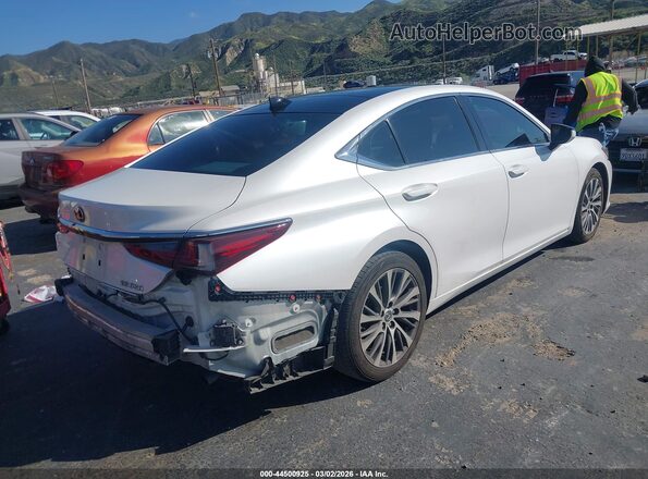58ABZ1B17KU028209 2019 LEXUS ES 350 White 