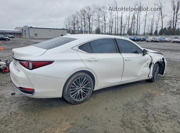 58AD11D13PU010746 2023 LEXUS ES Белый Задняя правая четверть