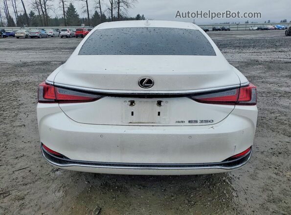 58AD11D13PU010746 2023 LEXUS ES Белый Вид сзади