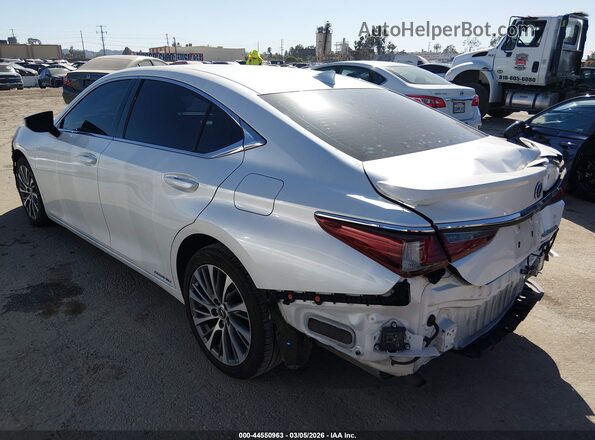 58AD21B12LU006830 2020 LEXUS ES 300H White უკანა მარცხენა