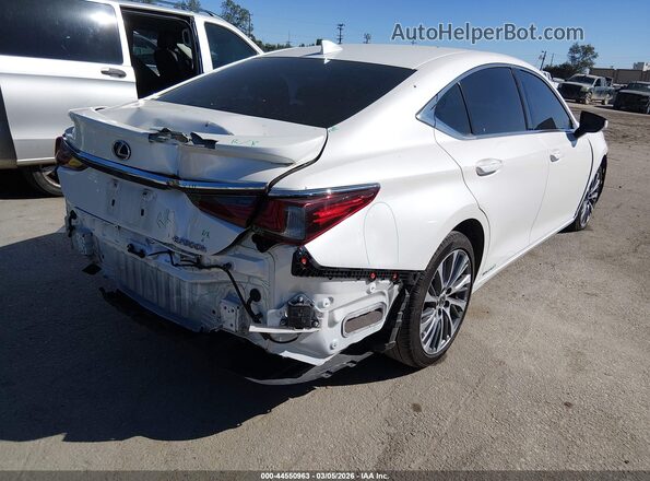 58AD21B12LU006830 2020 LEXUS ES 300H White უკანა მარჯვენა
