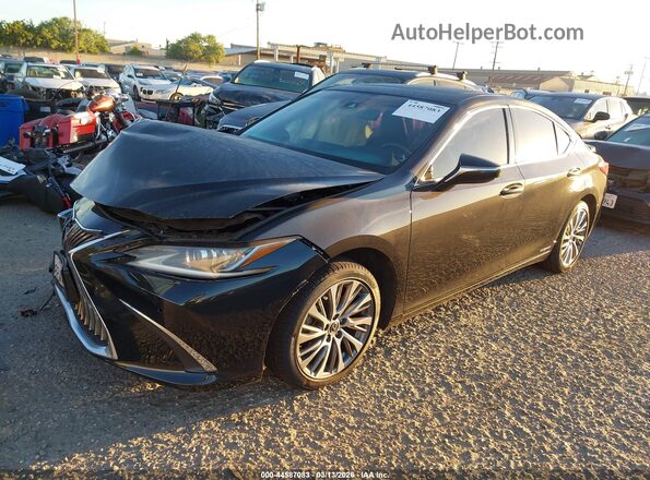 58AD21B12LU009985 2020 LEXUS ES 300H Black Առջևի ձախ երեք քառորդ տեսարան