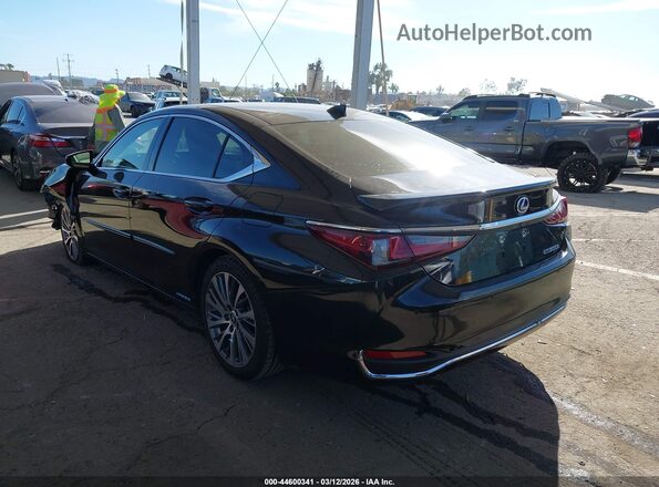 58AD21B19LU011717 2020 LEXUS ES 300H Black Trasero izquierdo
