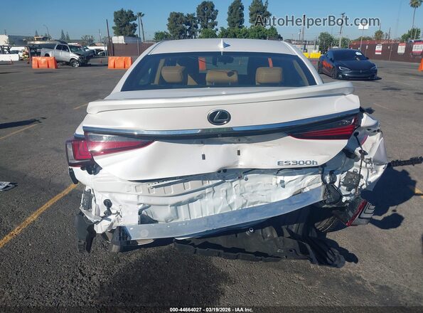 58ADA1C12RU043919 2024 LEXUS ES 300H White 