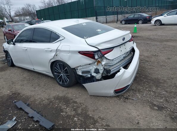 58ADA1C13NU026007 2022 LEXUS ES 300H White Trasero izquierdo