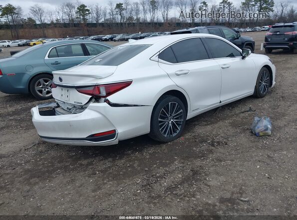58ADA1C13NU026007 2022 LEXUS ES 300H White Trasero derecho