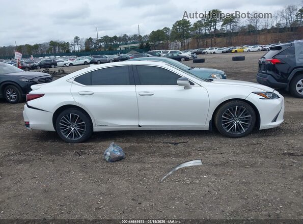 58ADA1C13NU026007 2022 LEXUS ES 300H White Vista interior trasera