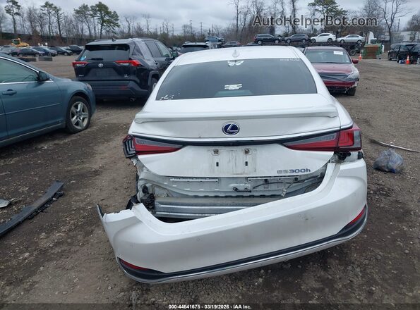 58ADA1C13NU026007 2022 LEXUS ES 300H White 