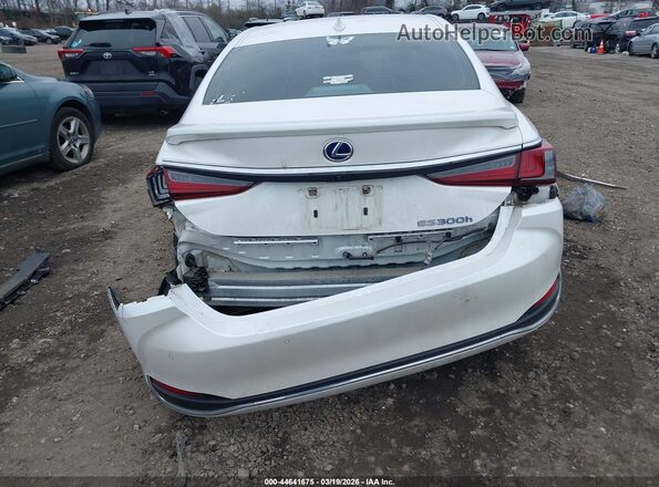 58ADA1C13NU026007 2022 LEXUS ES 300H White 